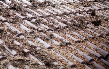 Glen Bernisdale roof cleaning companies